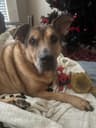 Review by Jeanette R.