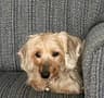 Review by Maxine M.
