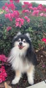 Review by Debra L.