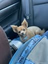Review by Whitney C.