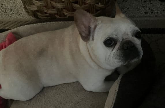 Review by Christopher P.