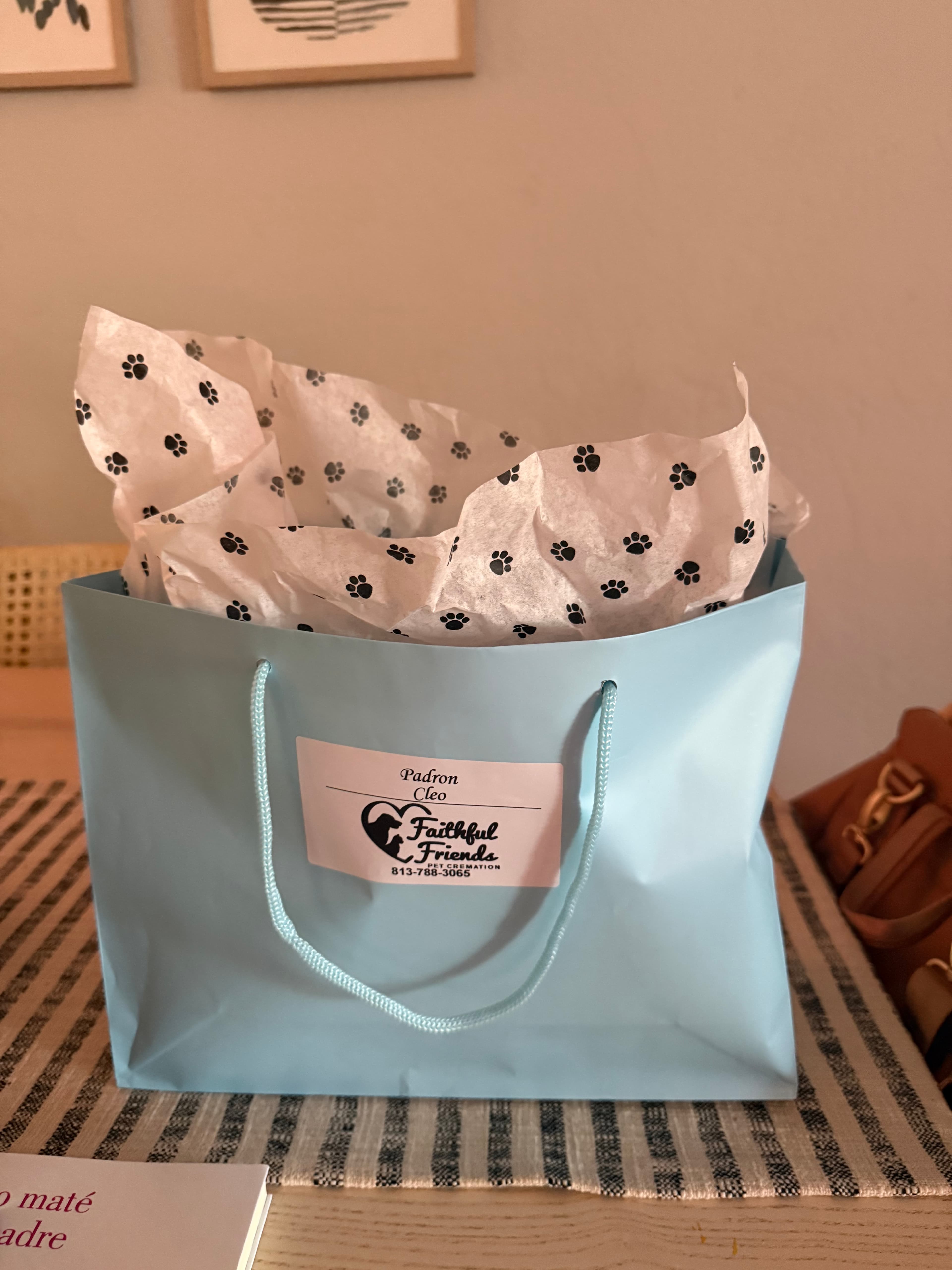 Review by Nancy P.