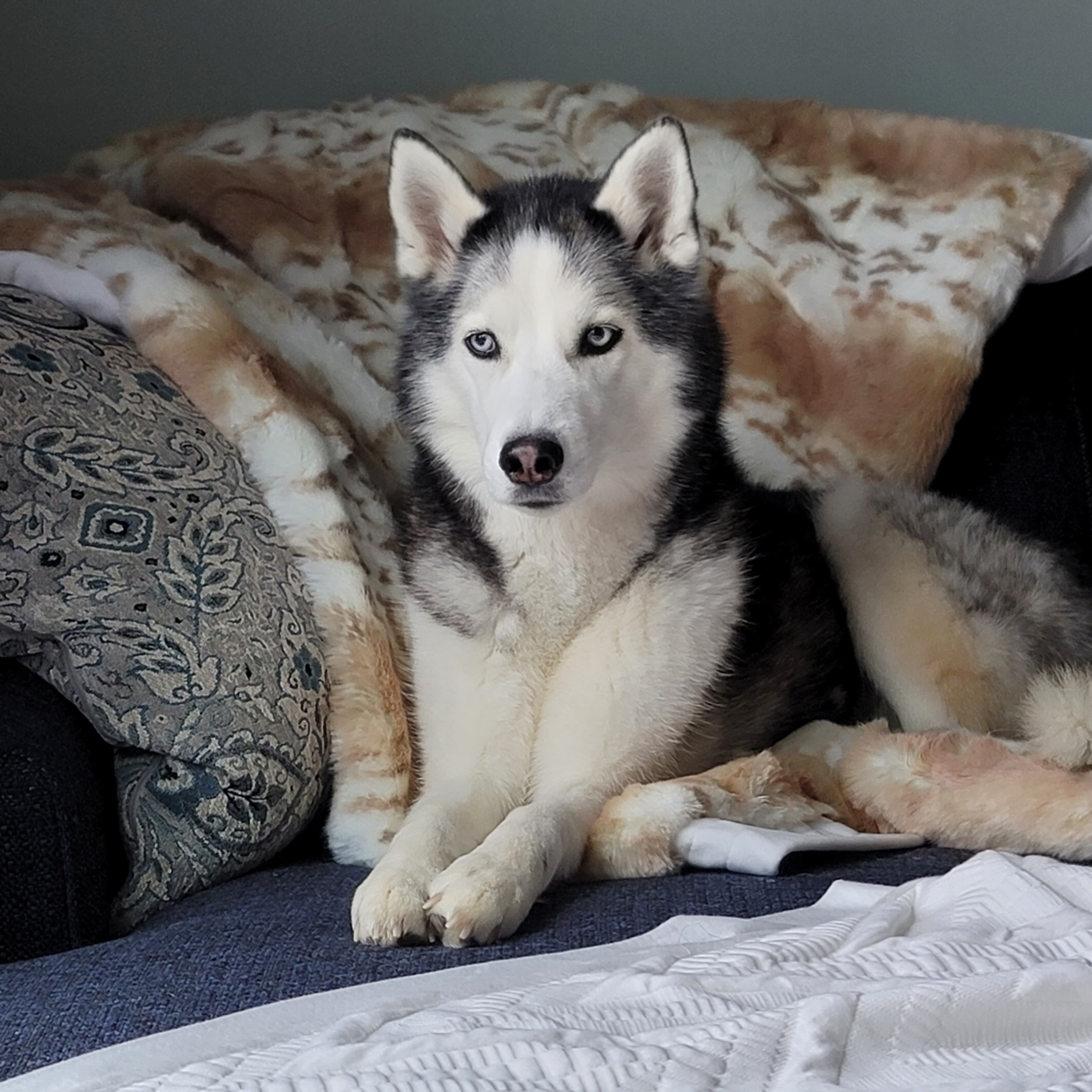 Memorial photo of Sakari