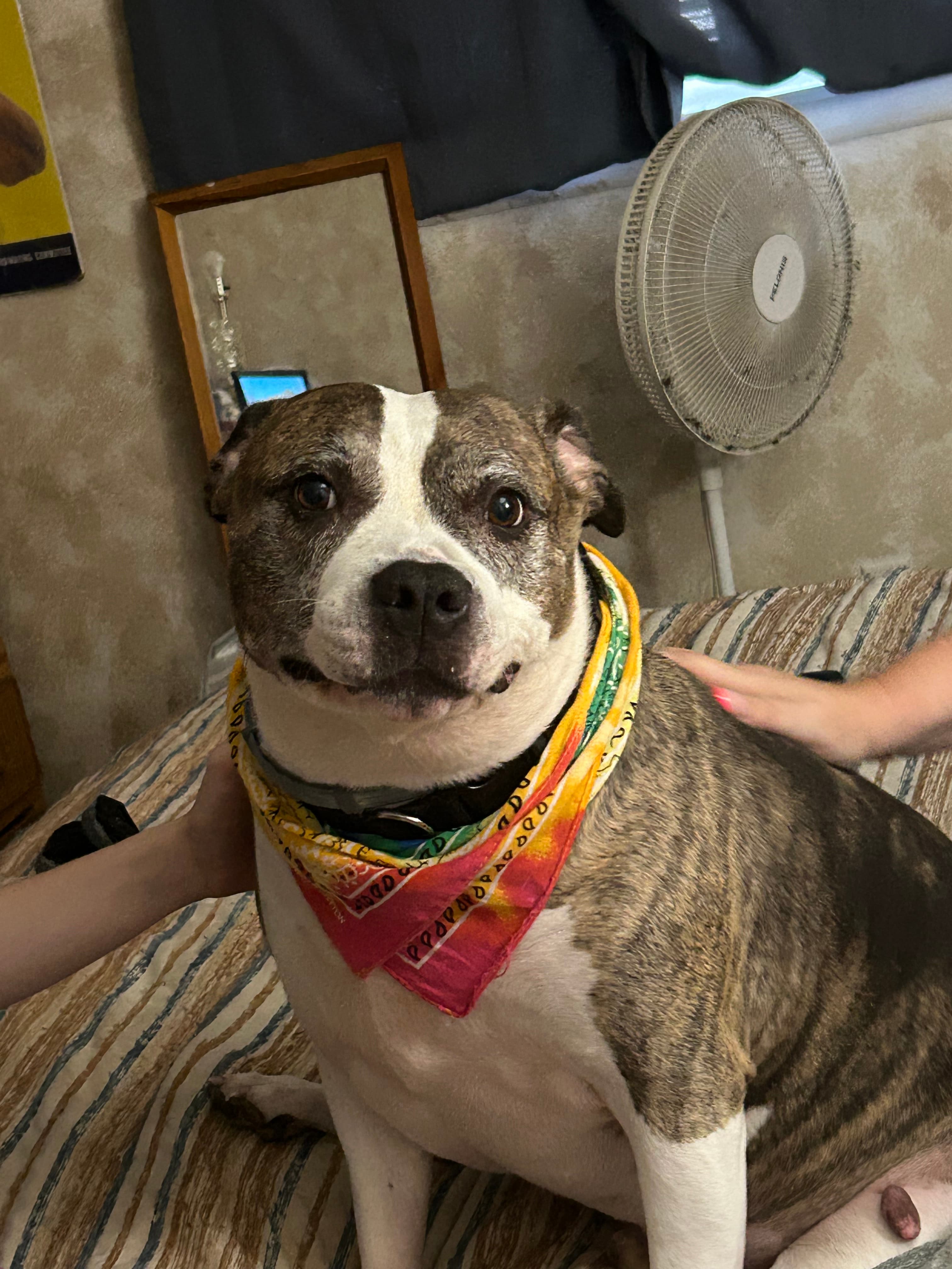 Memorial photo of Roscoe