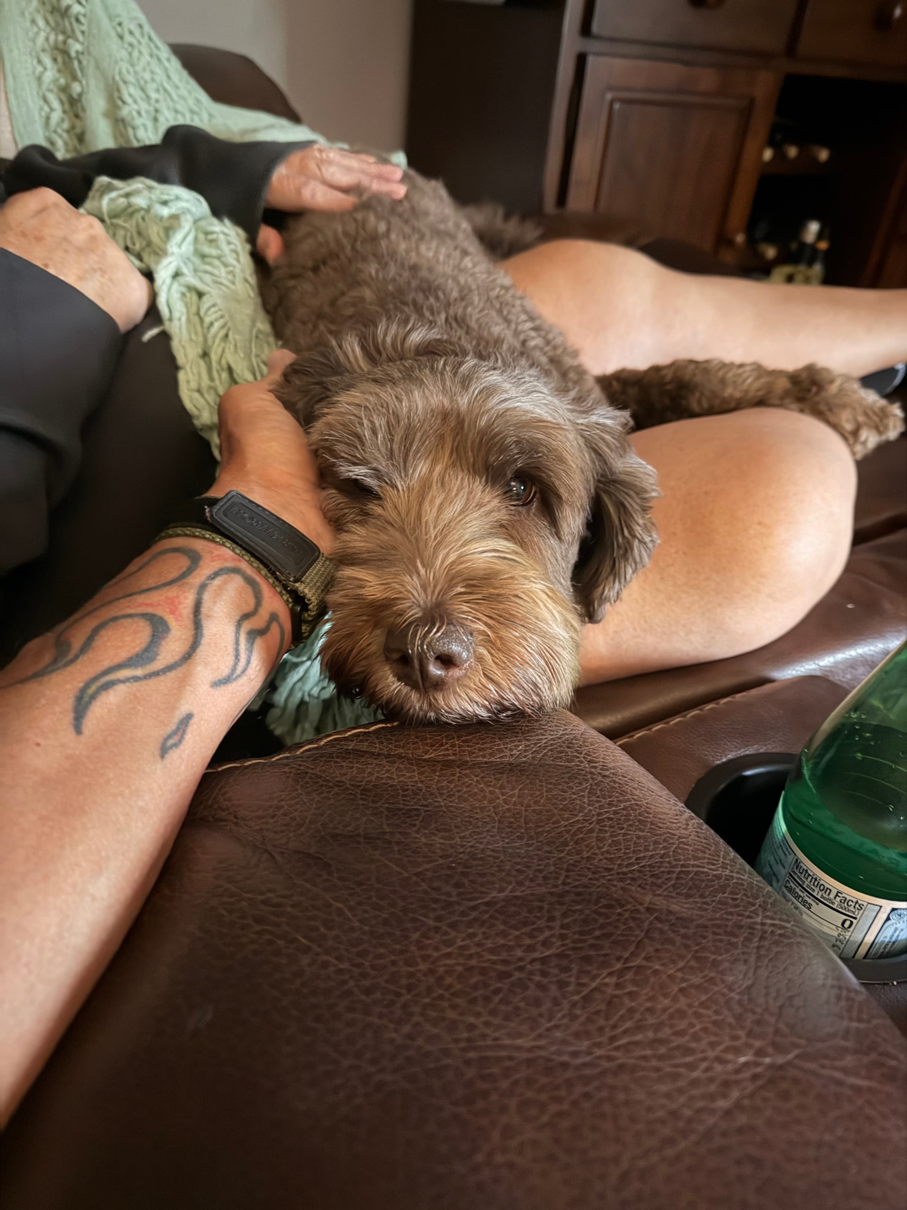 Memorial photo of CoCo