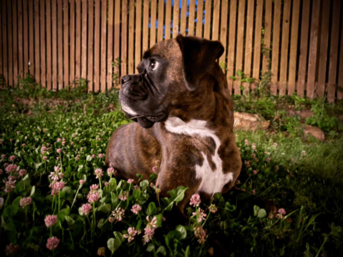 Memorial photo of Maizy Azalea Verity