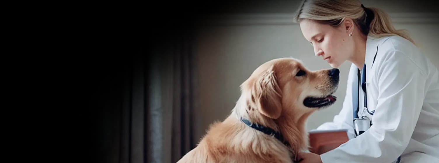 A veterinarian with a dog