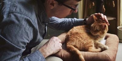 A men petting a cat perched on a couch.