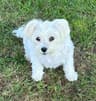 Review by Sandy H.