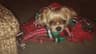 Review by Sherry F.