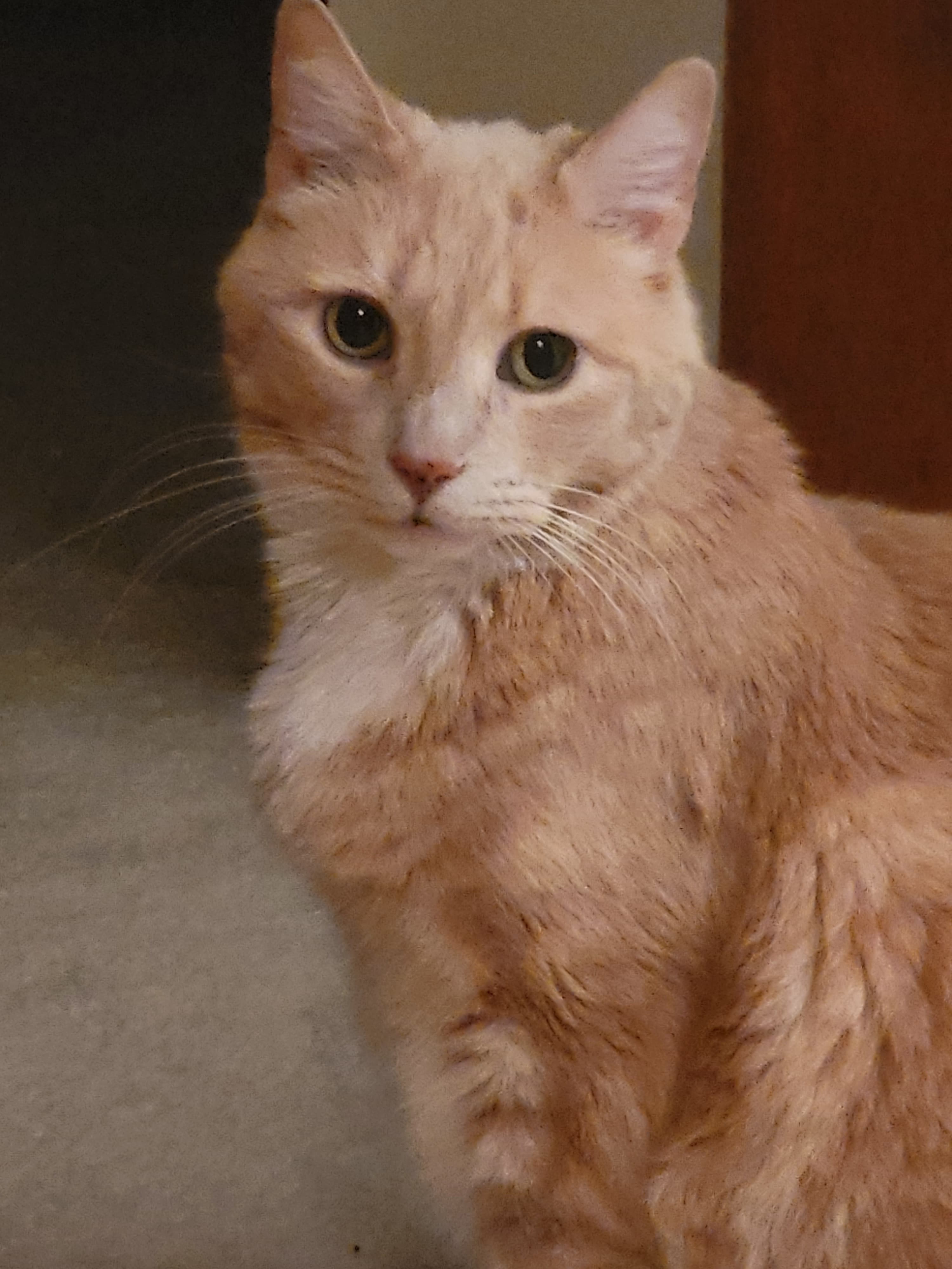 Memorial photo of Nene
