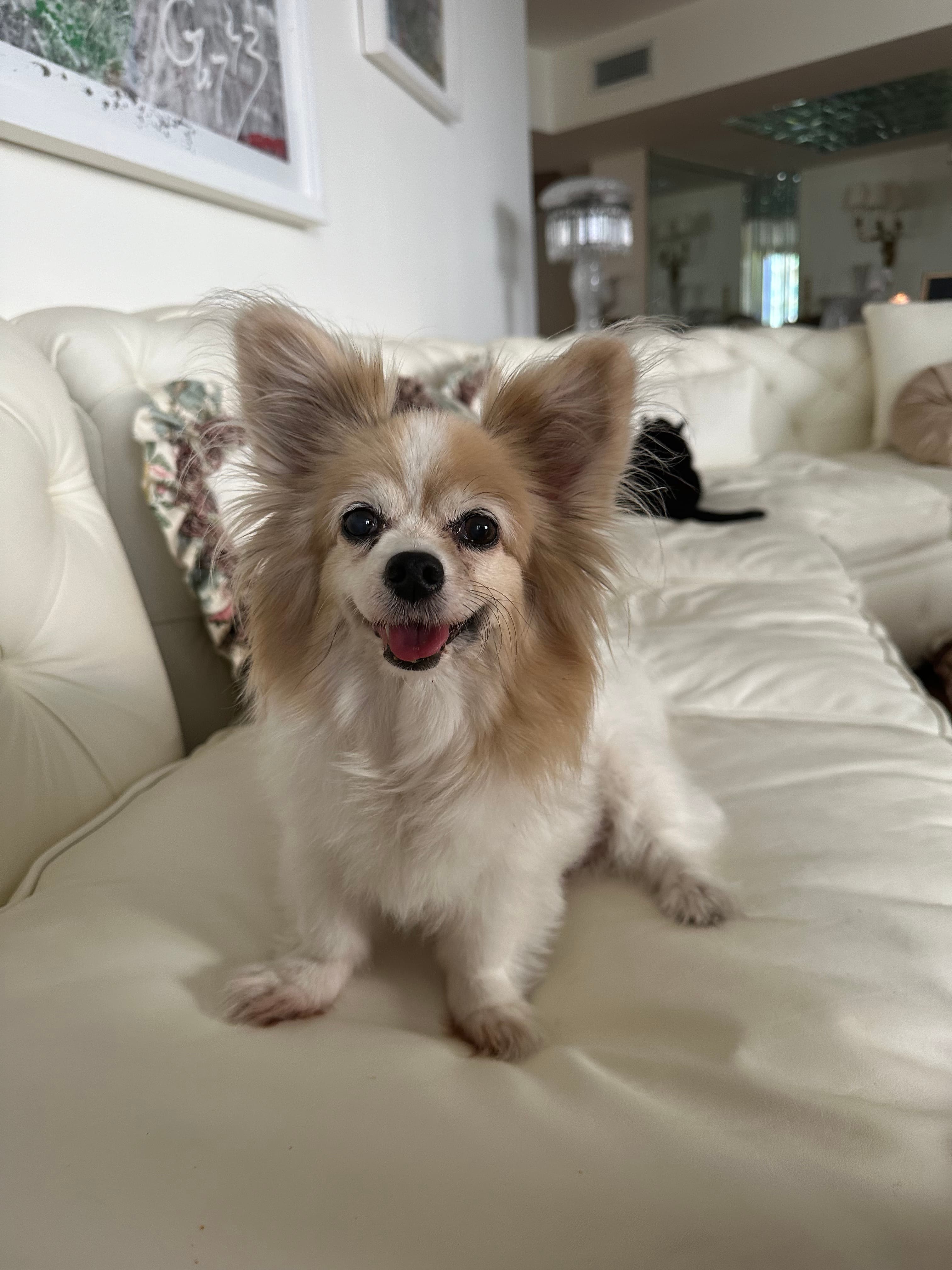 Memorial photo of Birdie