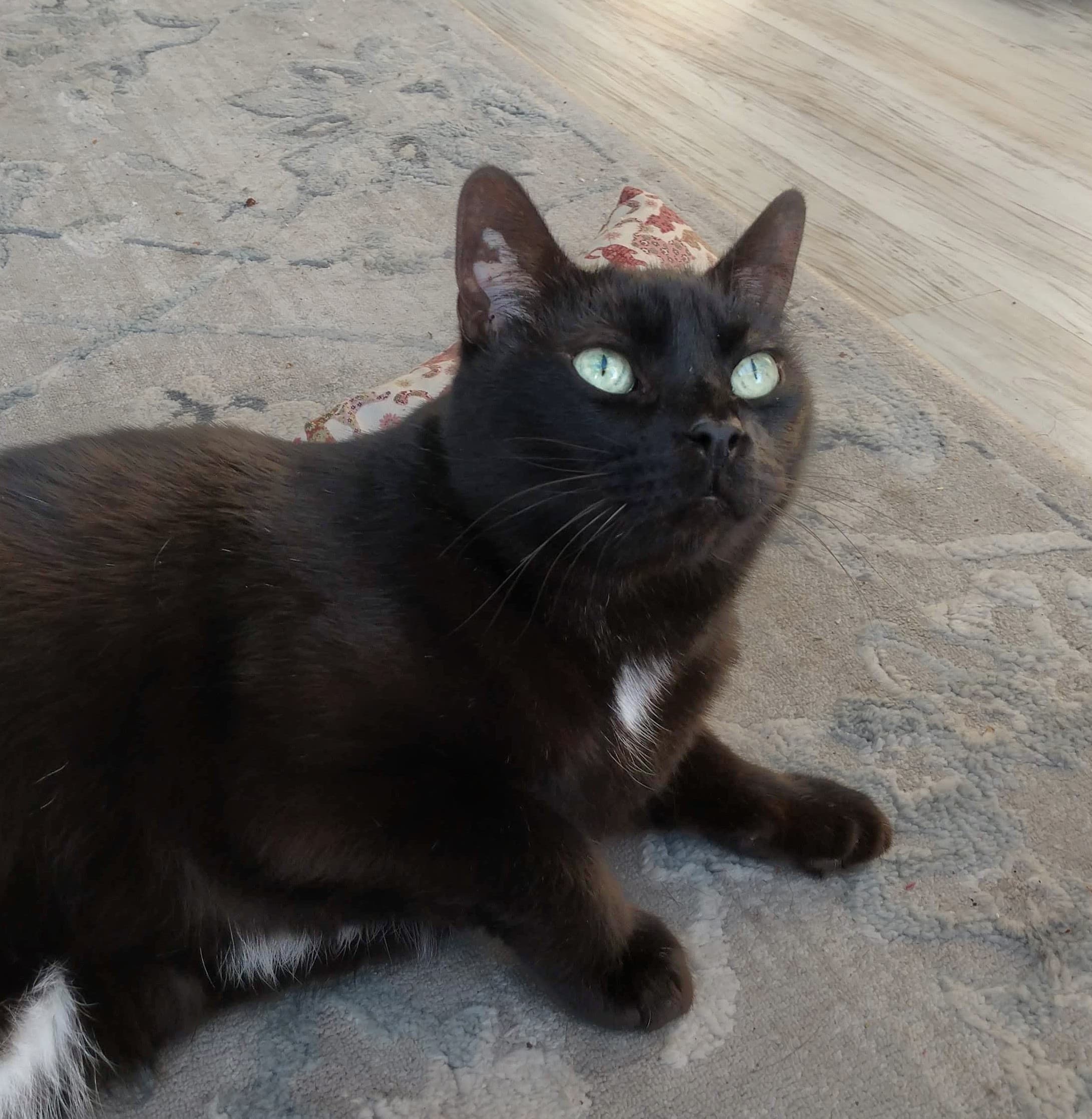 Memorial photo of Pepsi