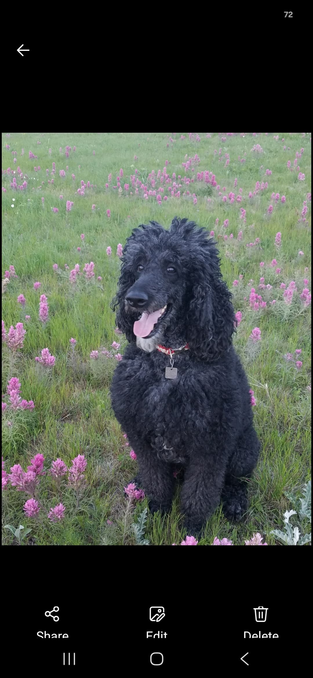 Memorial photo of Max