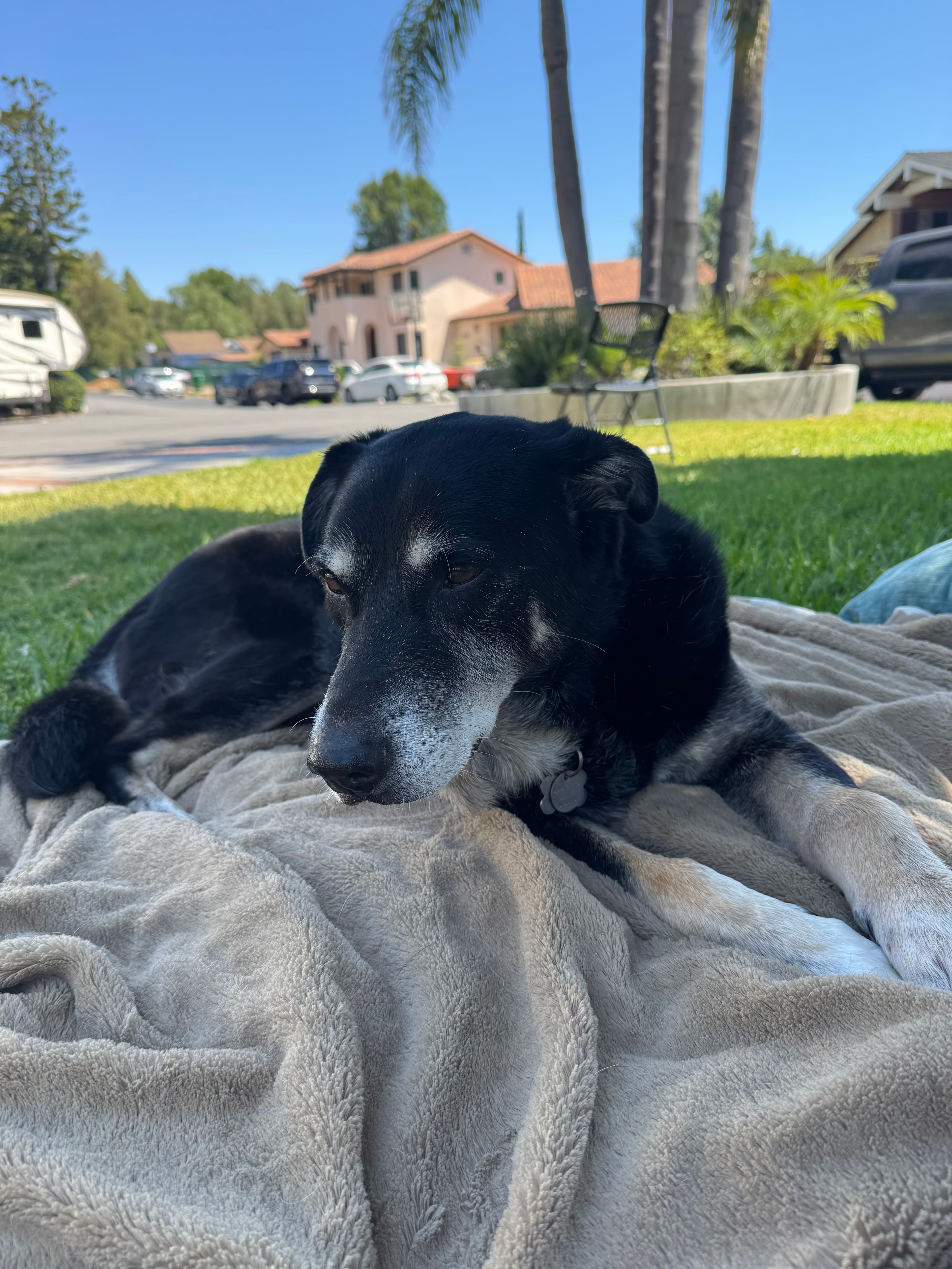Memorial photo of Jack