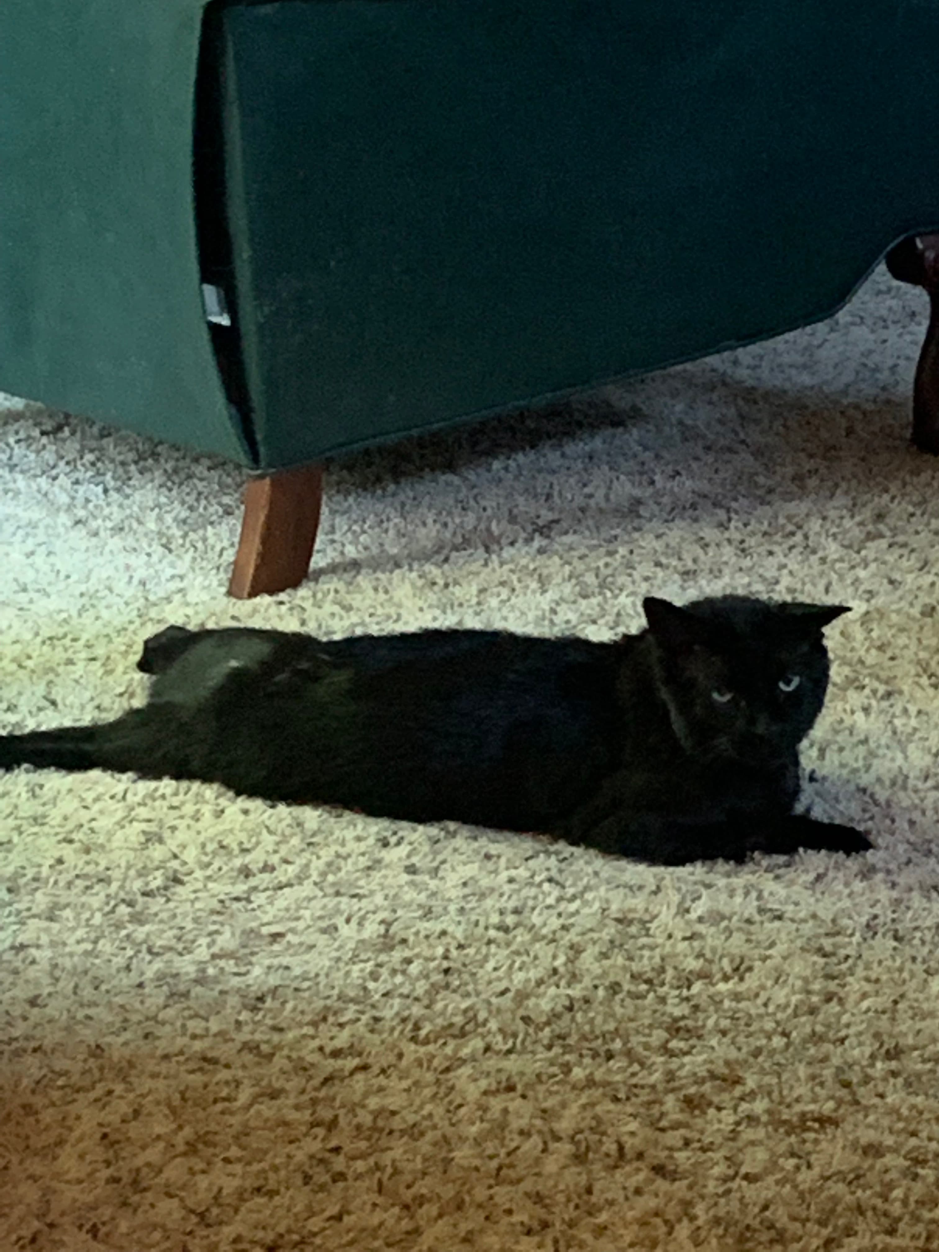 Memorial photo of poky