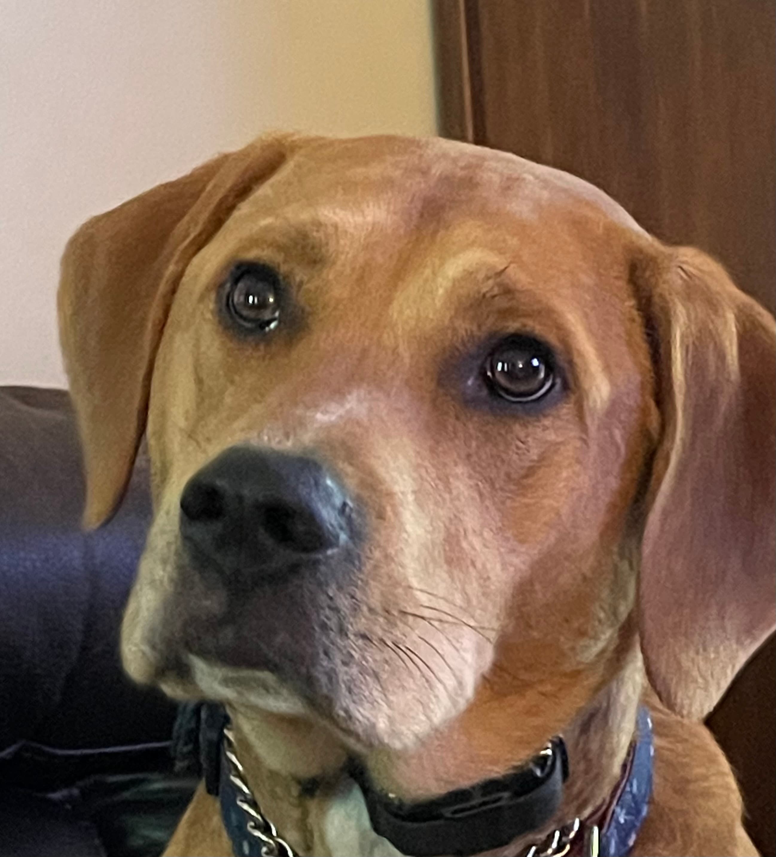 Memorial photo of Sven