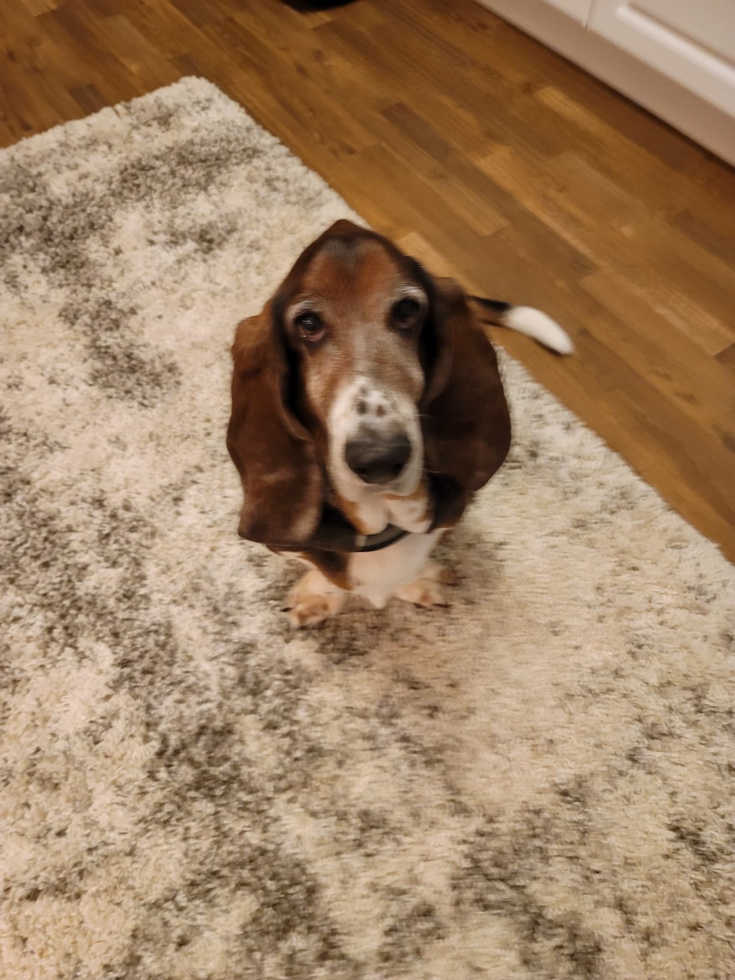 Memorial photo of Bentley Carter