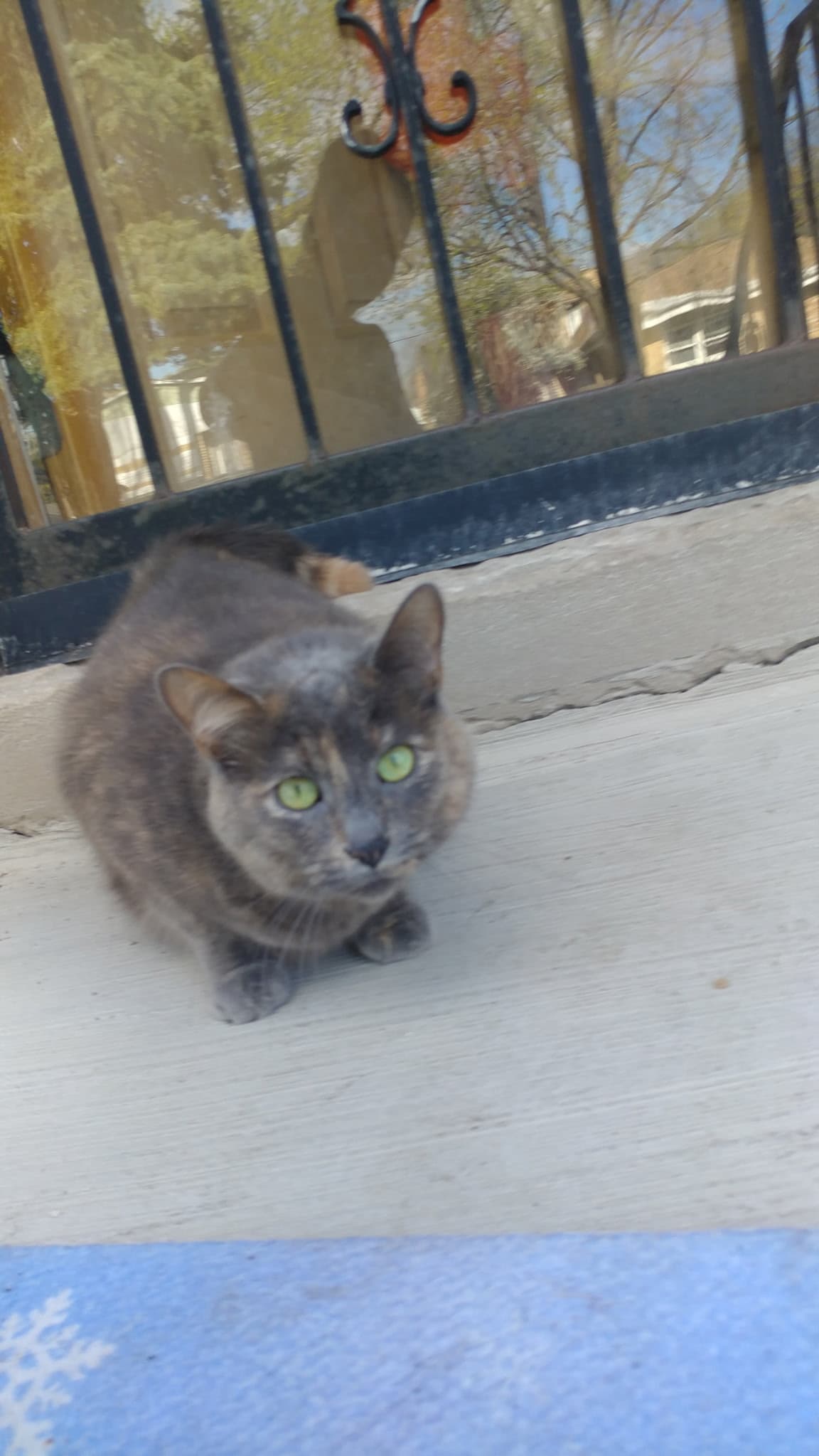 Memorial photo of Kitty Jajkowski