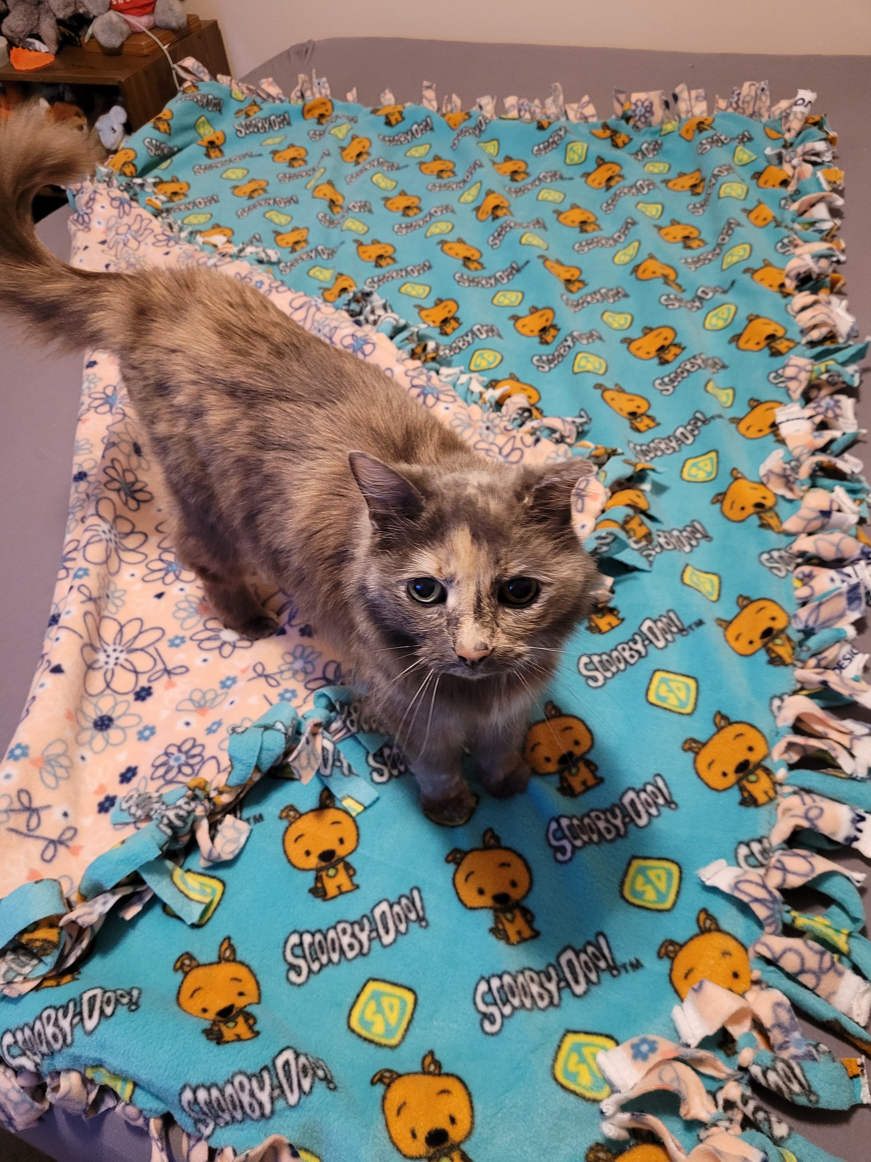 Memorial photo of Bubbles