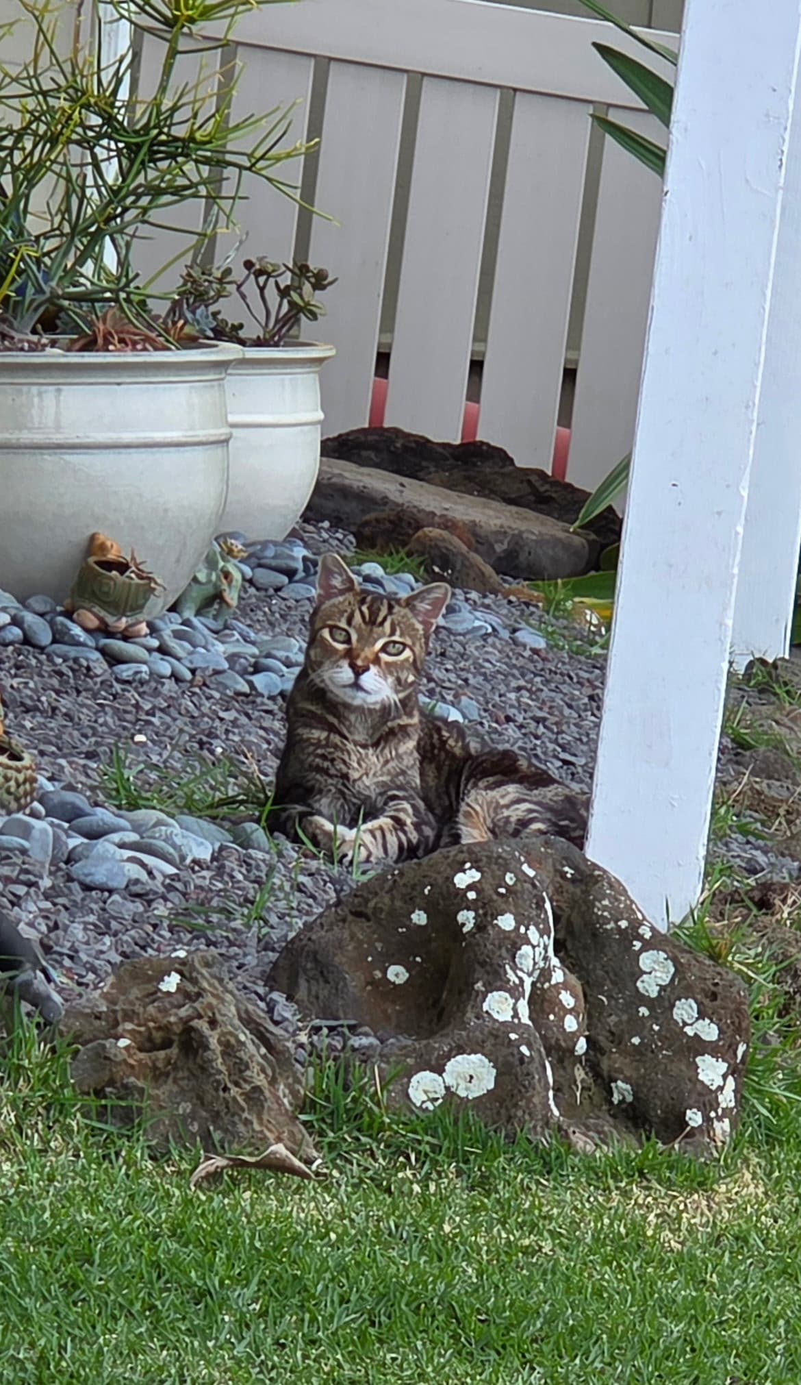 Memorial photo of Sasha