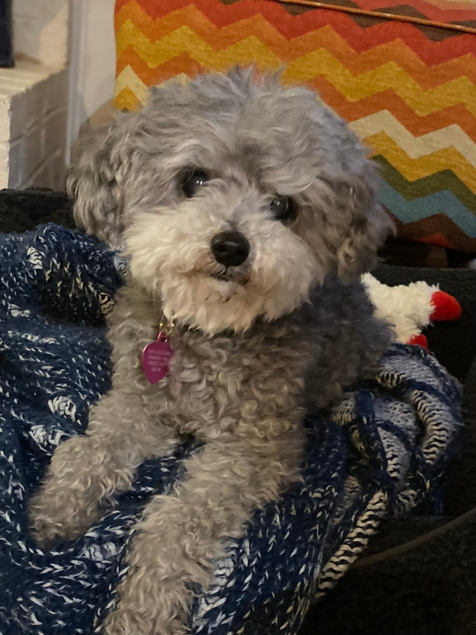 Review by Lezlie L.