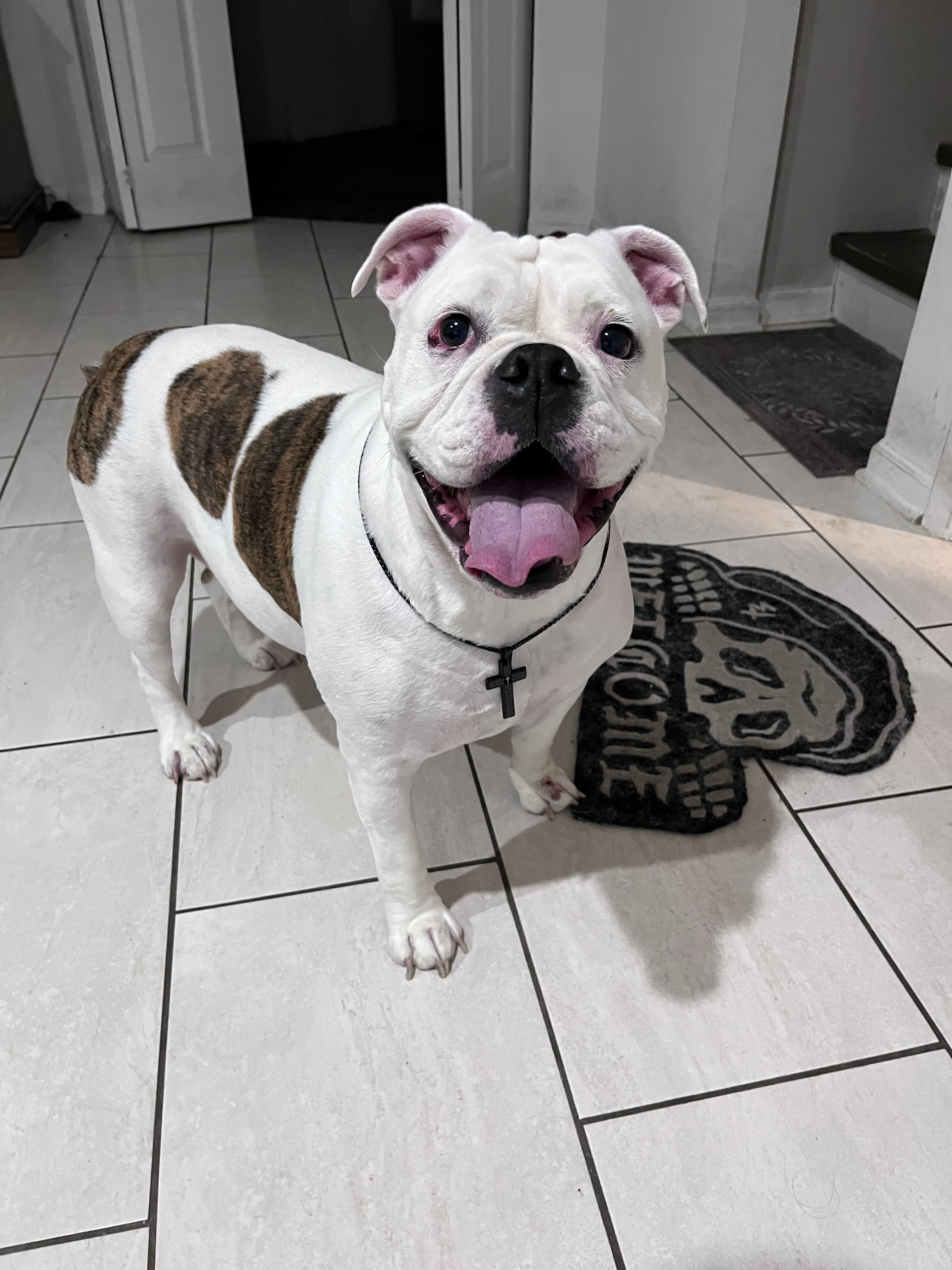 Memorial photo of Lulu