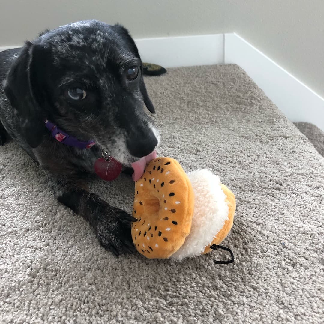 Memorial photo of Lily