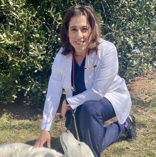 Dr. Lauren Silvesti