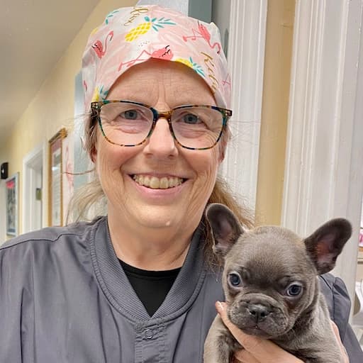 Photo of Dr. Laurie Noe